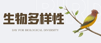 简约国际生物多样性日公众号首图