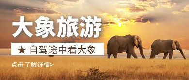简约大气摄影风大象旅游公众号封面首图