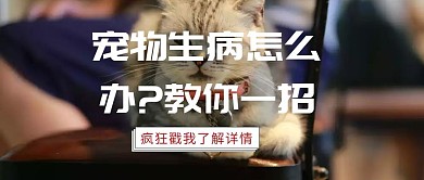 宠物医疗技巧护理公众号封面