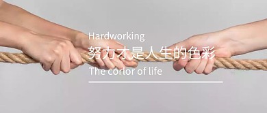 努力才是人生的色彩公众号封面