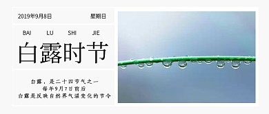 简约传统白露节气科普公众号封面