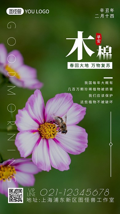 每日一签摄影风木棉花开春回大地早安日签