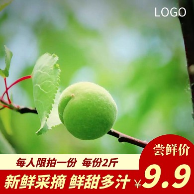 水果9.9主图