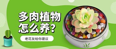 多肉植物简约小清新绿色植物公众号封面首图