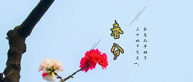 春分中国风公众号封面