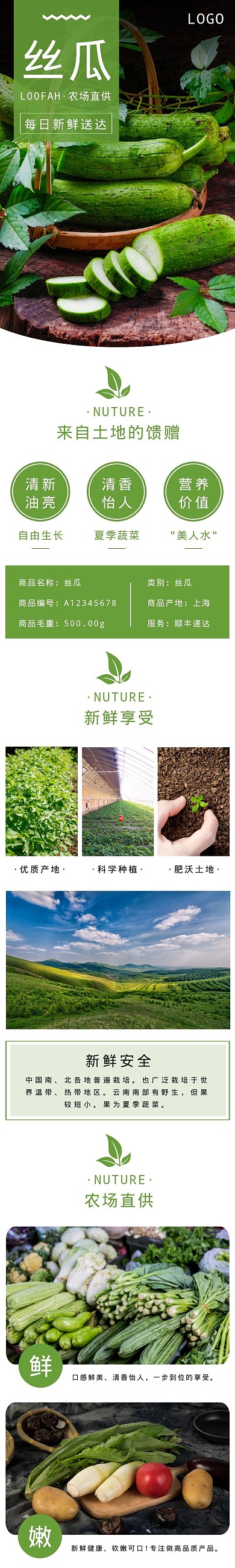 丝瓜简约大气绿色食品茶饮详情页