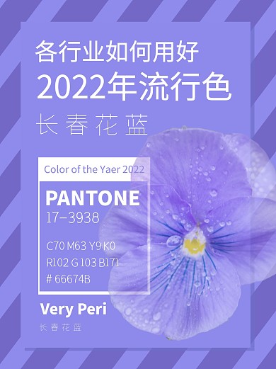 2022流行色指南小红书封面