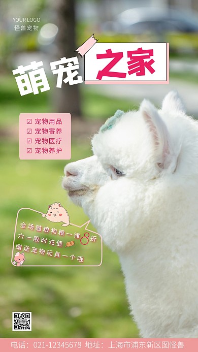宠物店开业猫橙色简约风摄影图海报