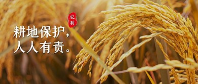 耕地保护简约风格公众号封面首图