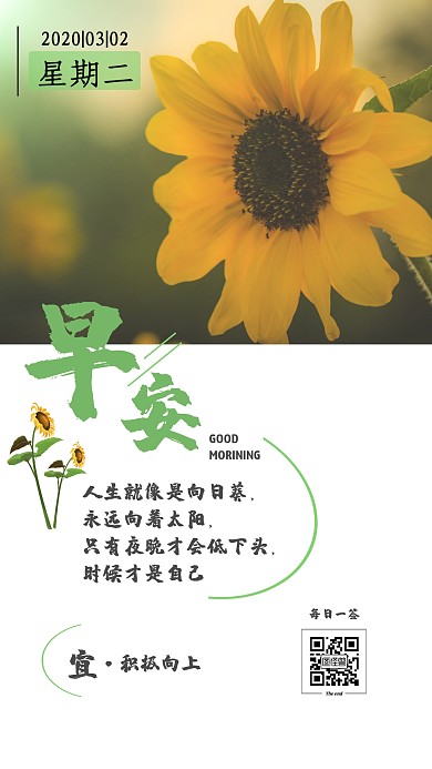 小清新大自然向日葵炎热早安