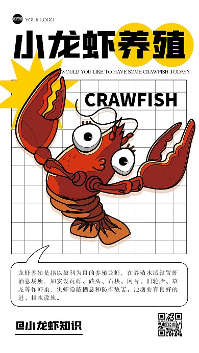 简约插画风小龙虾科普手机海报