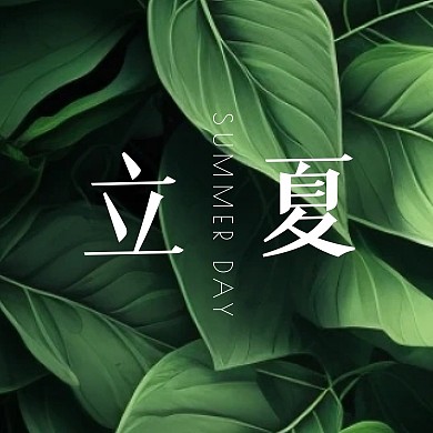 立夏节气绿色叶子公众号封面次图