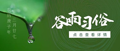 谷雨传统节气习俗绿植摄影公众号封面