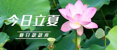 今日立夏大气红包公众号封面图