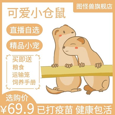 淘宝宝贝主图宠物黄色简约