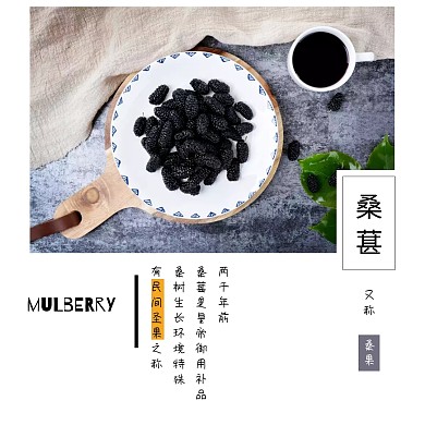 水果桑葚简约白色方形配图