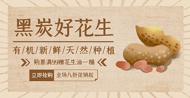 有机黑炭花生促销简约褐色banner