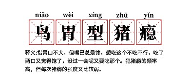 鸟胃型猪瘾网络热词解释公众号首图