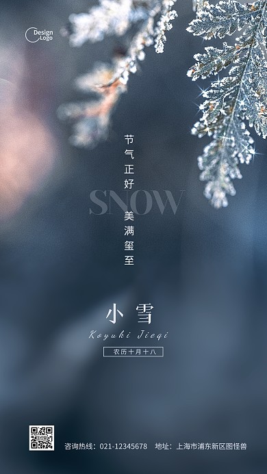 唯美清新小雪二十四节气推广摄影图海报