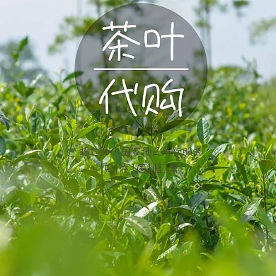 茶叶直通车海报