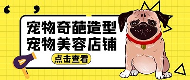 宠物萌宠奇葩造型宠物美容公众号封面