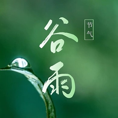 谷雨二十四节气简约大气公众号次图