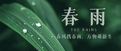 公众号首图春雨节气雨水简约创意