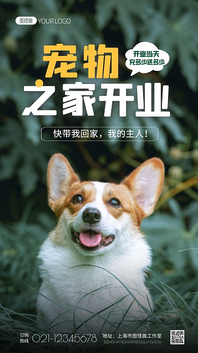 宠物店活动纯色大气手机摄影图海报