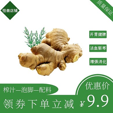 生姜绿色大气简约电商直通车