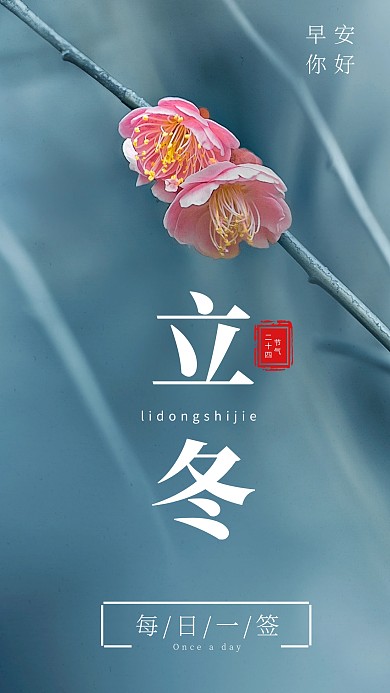 简约花卉梅花节日节气立冬大气手机日签