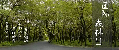 国际森林日绿色森林公众号封面