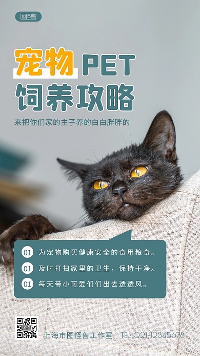 宠物饲养攻略蓝色简约风摄影图海报