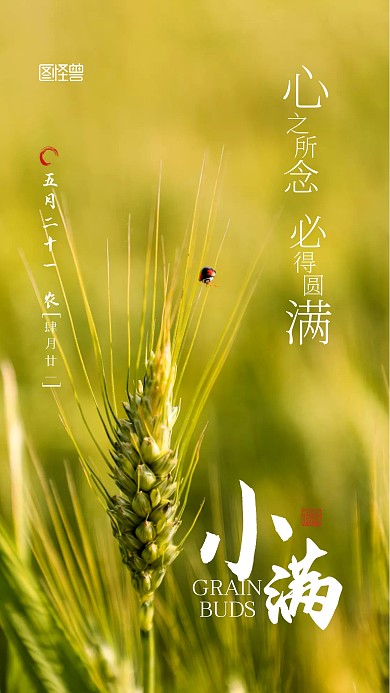 二十四节气宣传简约摄影图手机海报
