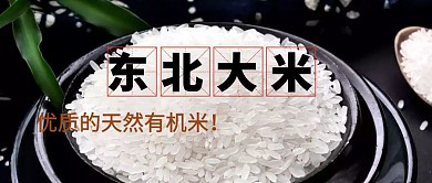 大米公众号封面