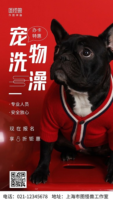 摄影图宠物洗澡卡办理白色简约风手机海报