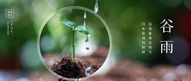 清新谷雨节气公众号首图