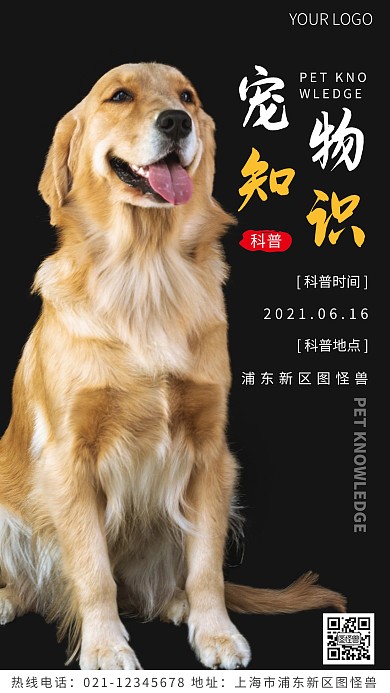 宠物知识科普黄色简约风摄影图海报