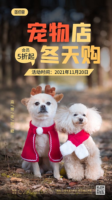 宠物店冬天促销纯色大气手机摄影图海报