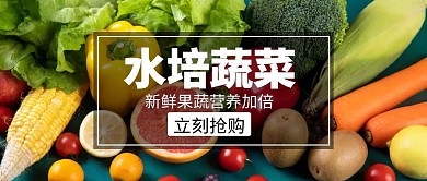 新鲜水培蔬菜大气简约美食公众号封面
