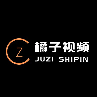 简约创意橙色圆形网络科技视频logo