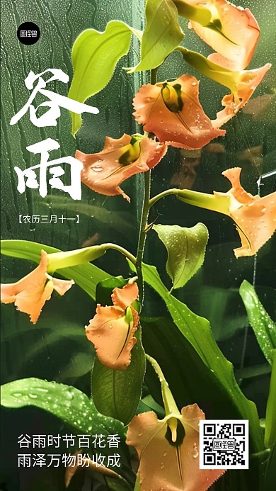 谷雨二十四节气活动绿色营销手机海报