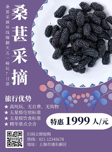 桑葚采摘旅游海报