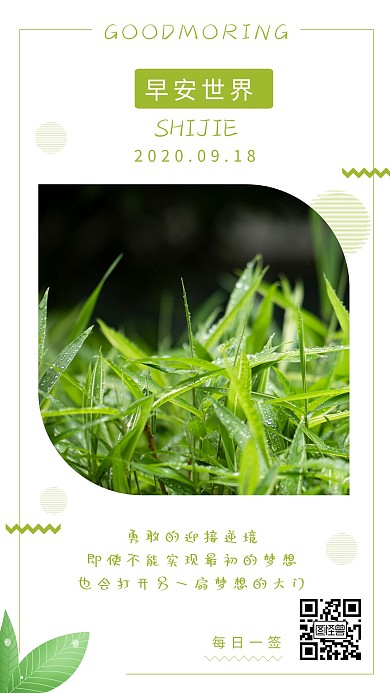 简约摄影背景早安海报嫩芽