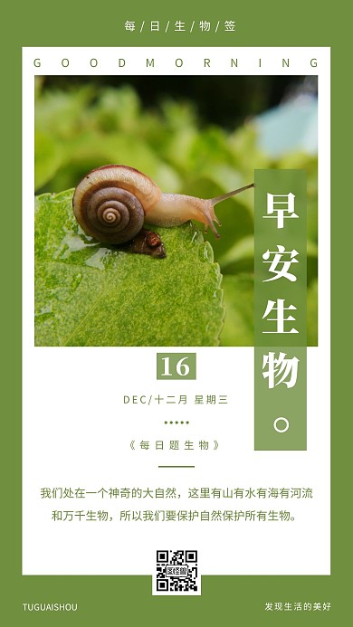 简约摄影早安绿色清新每日题生物日签