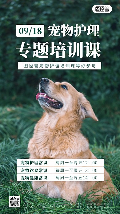 宠物培训课程简约简洁摄影图海报