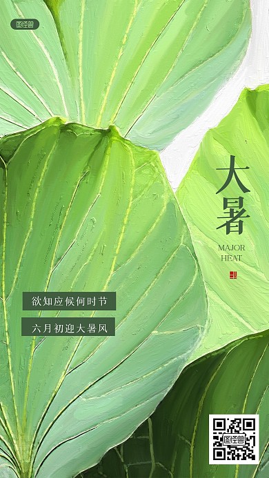清新荷叶大暑节气油画风海报