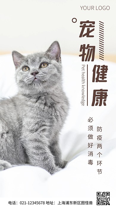 简约风宠物健康常识摄影图海报