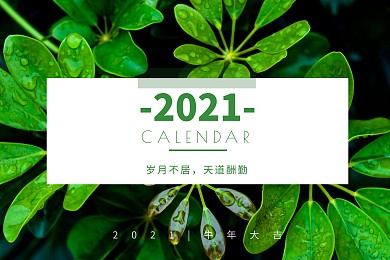 小清新简约2021年日历台历