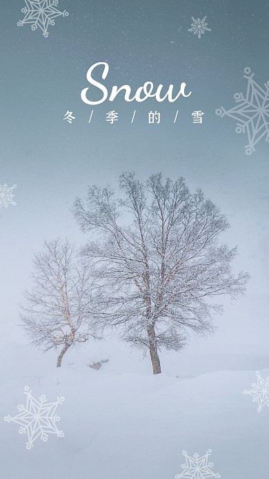 2020新年趣味文艺摄影图片手机壁纸