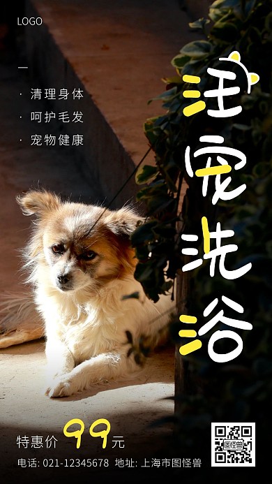 宠物汪星人精细洗浴服务创意宣传手机海报